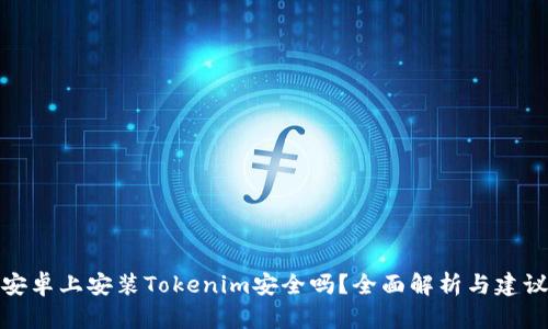 安卓上安装Tokenim安全吗？全面解析与建议