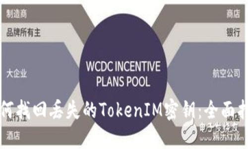 如何找回丢失的TokenIM密钥：全面指南