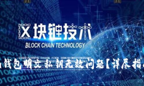 如何解决Tokenim钱包明文私钥无效问题？详尽指南与常见问题解答