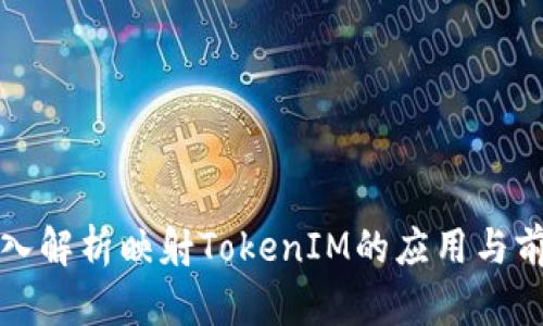 深入解析映射TokenIM的应用与前景