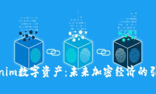 Tokenim数字资产：未来加密经济的引领者