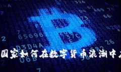 区块链币：国家如何在数字货币浪潮中应对与创