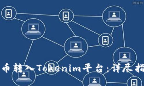 如何将狗币转入Tokenim平台：详尽指南与技巧