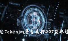 如何通过Tokenim平台质押DOT获取稳定收益