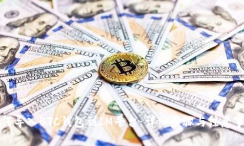 如何导入BTC钱包到IM平台：详细步骤与注意事项