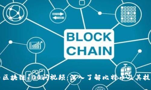 比特币区块链100问视频：深入了解比特币及其技术背景