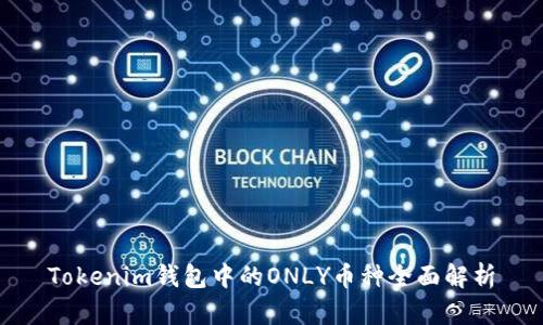 Tokenim钱包中的ONLY币种全面解析