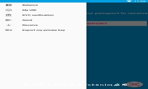 国内用户如何下载Tokenim应用