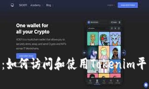 Tokenim入口：如何访问和使用Tokenim平台的完整指南