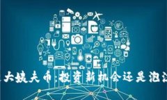 区块链大姨夫币：投资新机会还是泡沫风险？