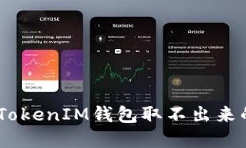 如何解决TokenTokenIM钱包取不出来的问题：全面指南
