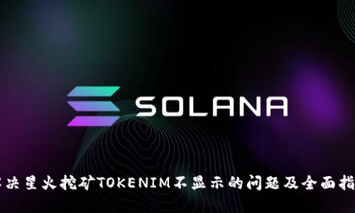 解决星火挖矿TOKENIM不显示的问题及全面指南